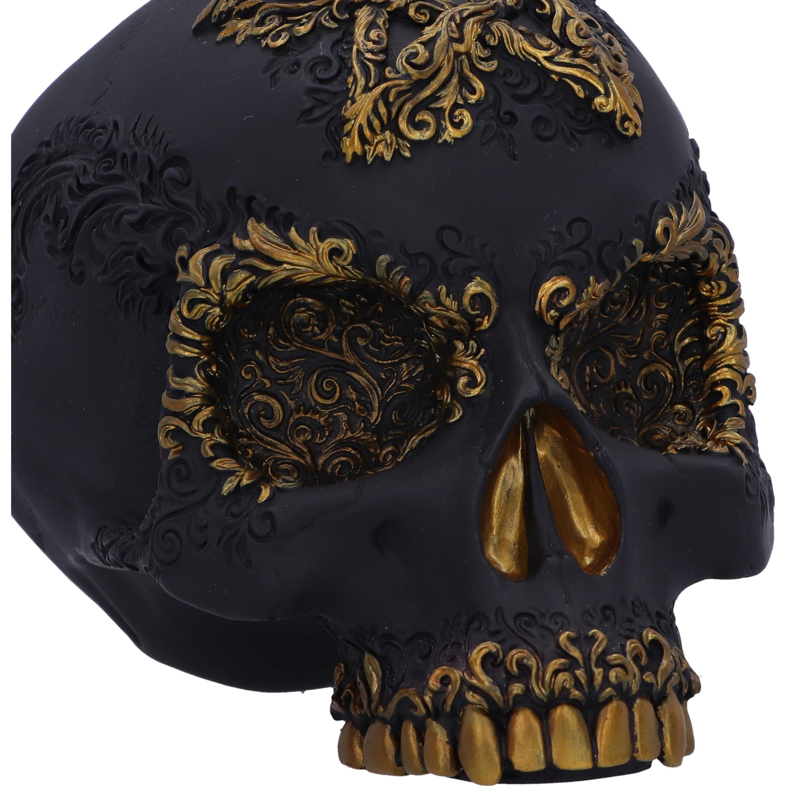 Amazon.co.jp: Nemesis Now 神の死骸骨 置物 15.5cm 樹脂 ブラック
